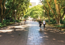 Photo of trees in city