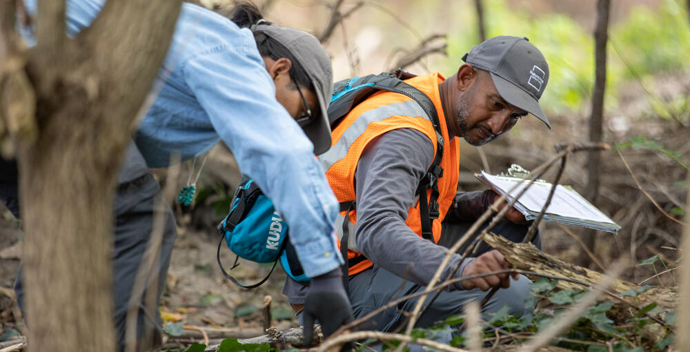 The Central Park Climate Lab: Research and Cooperation to Combat Climate Change in City Parks 